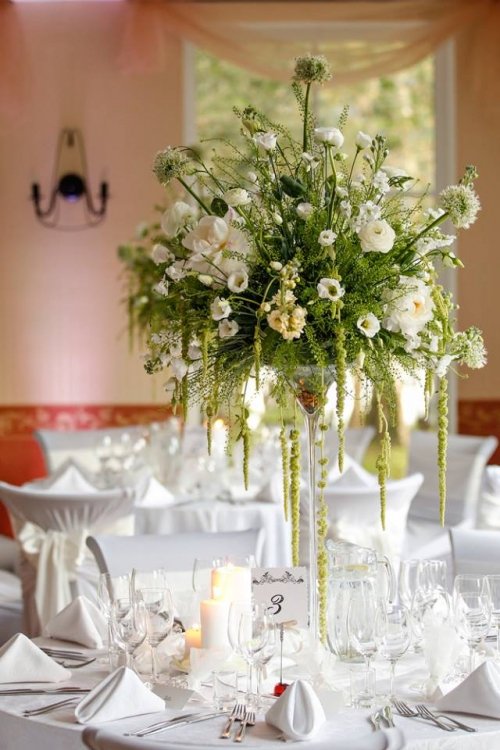 Puošimas Profesionalios floristų dekoratorių paslaugos