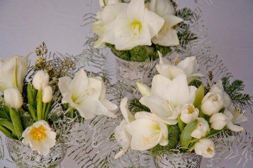 Puošimas Profesionalios floristų dekoratorių paslaugos