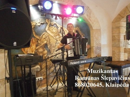 Muzikantai vestuvėms Profesionalus  Muzikantas - Renginių Vedėjas
                  
