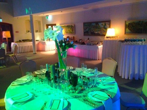 Restoranai, kavinės, barai Hugo Šojaus dvaras - ideali vieta Jūsų šventei!