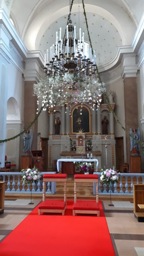 Puošimas Fitodirbtuvės - gėlių menas 