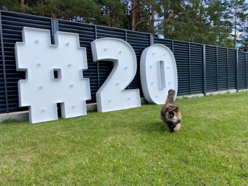 Kitos vestuvių prekės ir paslaugos Šviečiančių RAIDŽIŲ ir SKAIČIŲ nuoma