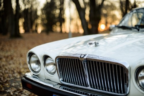 Automobilių nuoma Senovinio automobilio Jaguar nuoma