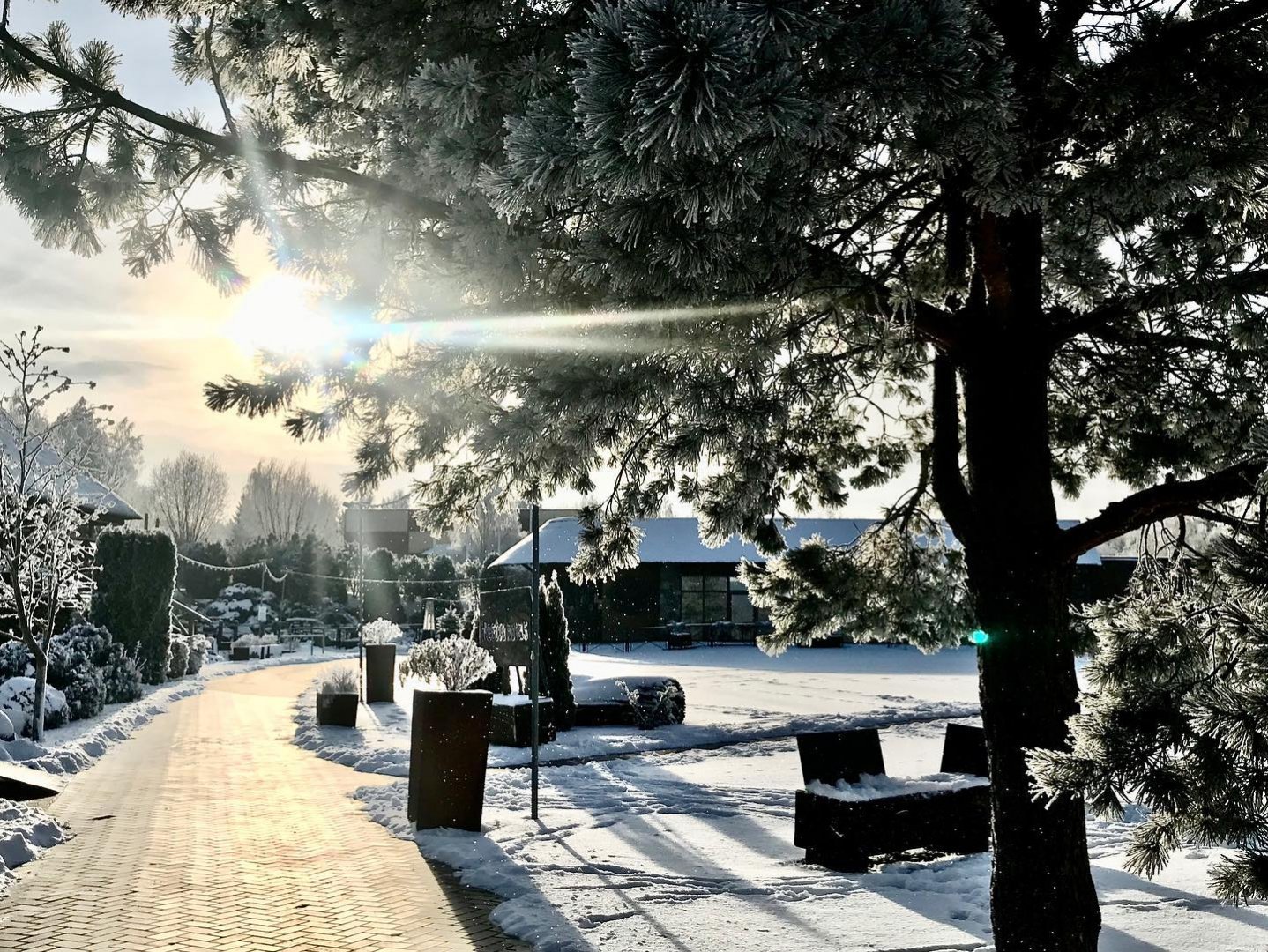 Restoranai, kavinės, barai Restoranas
