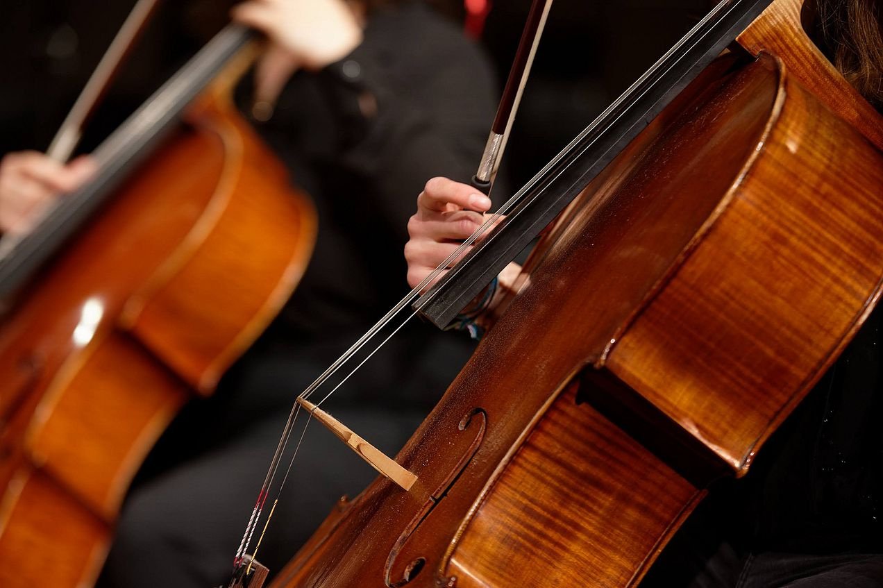Atlikėjai jūsų šventei Groju Violončėle Laidotuvėse, Metinėse, Vestuvių Ceremonijose, Furšetuose