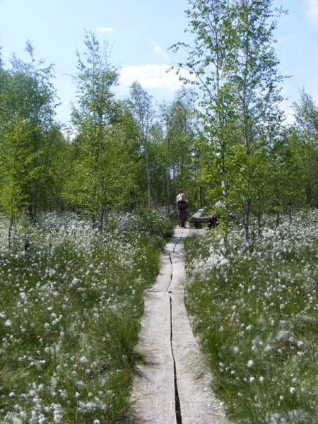 Dubravos rezervatinės apyrubės ~2 km apžvalgos takas logo