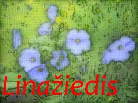 Gėlių salonas "LinaŽiedis"  logo