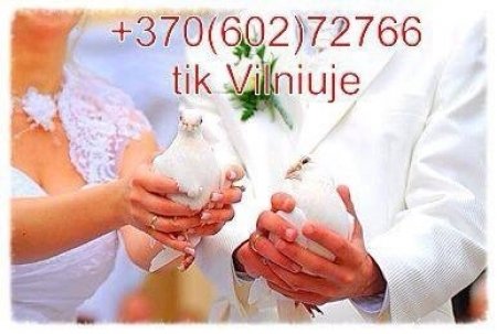 Balandziai vestuvems ir ne tik... logo