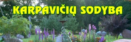 iki 50 vietų salė Karpavičių sodyboje prie Buktos miško logo