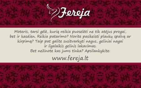 Profesionalios kirpėjos paslaugos jūsų namuose logo