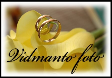 Fotografas Vidmantas logo