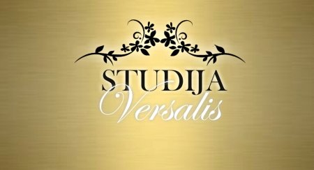 STUDIJA Versalis logo