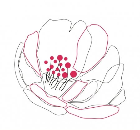 Fotomedus logo