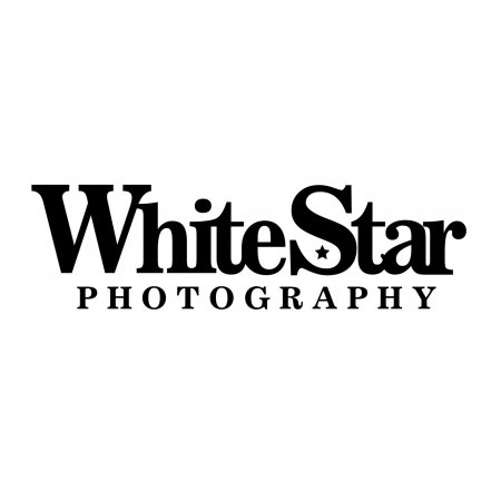 Vestuvių Fotografija logo
