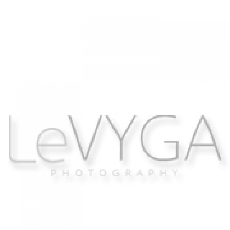 Vestuvių fotografas logo