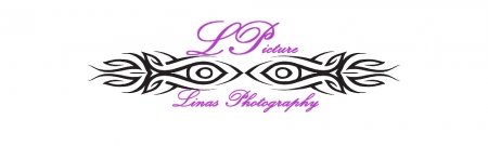 Vestuvių ir krikštynų fotografavimas, įv fotoprojektai logo