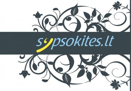 Vestuvių fotografai - sypsokites.lt logo