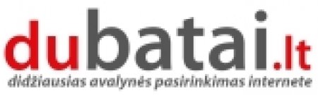 Didelis vestuvinių ir proginių batelių pasirinkimas logo