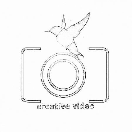 Vestuvių, renginių filmavimas! logo