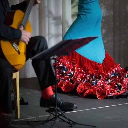 Klasikinės gitaros ir flamenko šokio duetas. logo