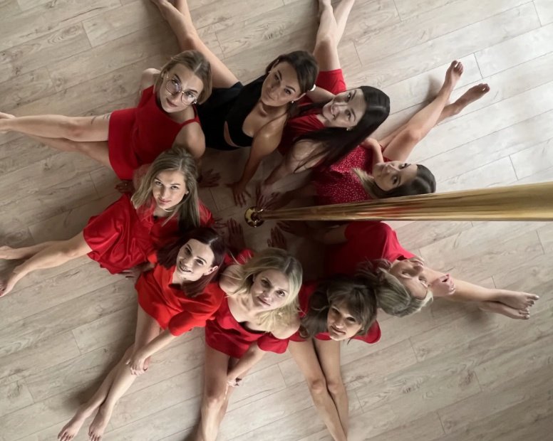 Mergvakaris su Pole dance. Vipera logo