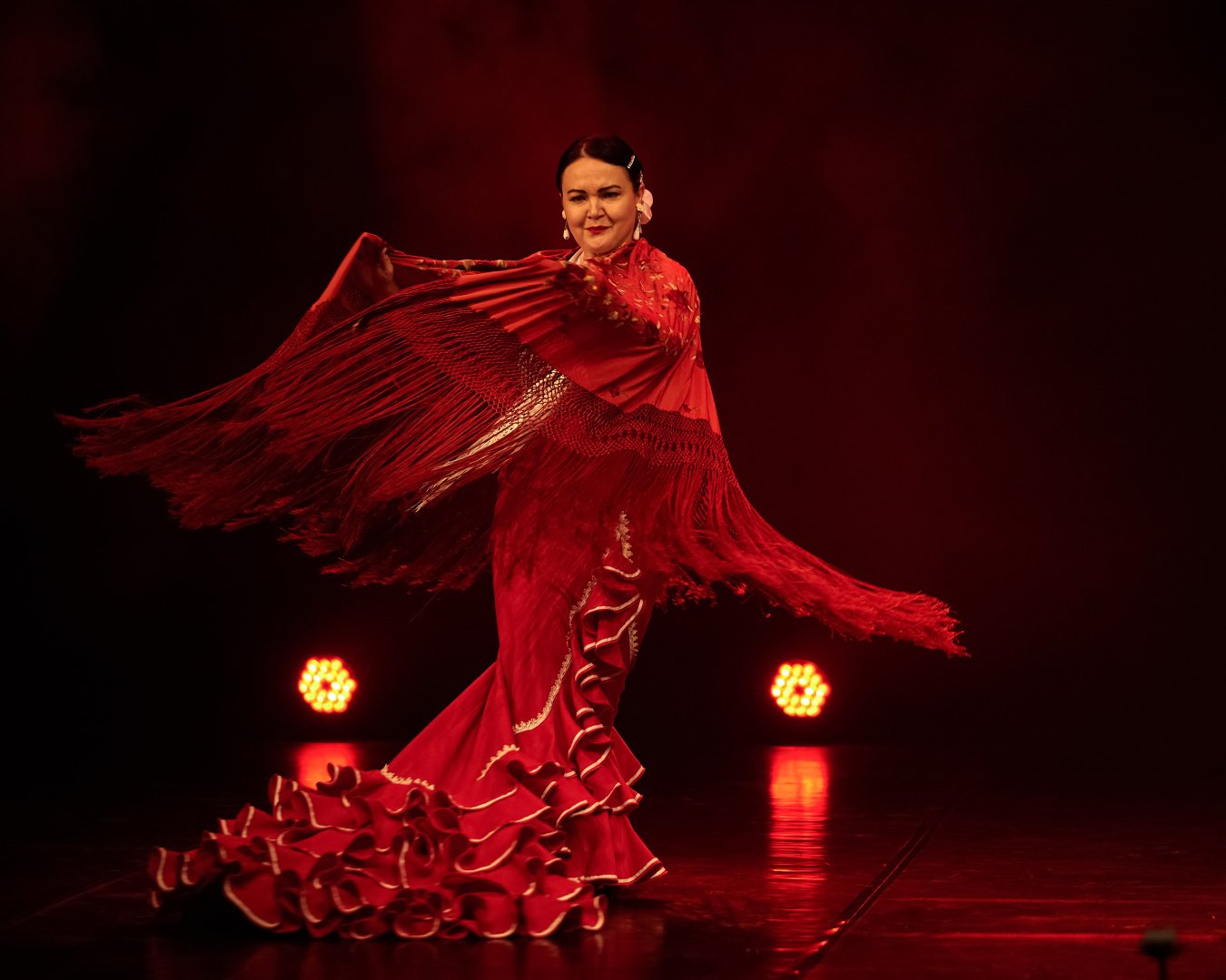 Flamenko Rytietiški ir Romų šokiai logo